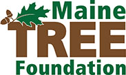 Maine Tree Foundation